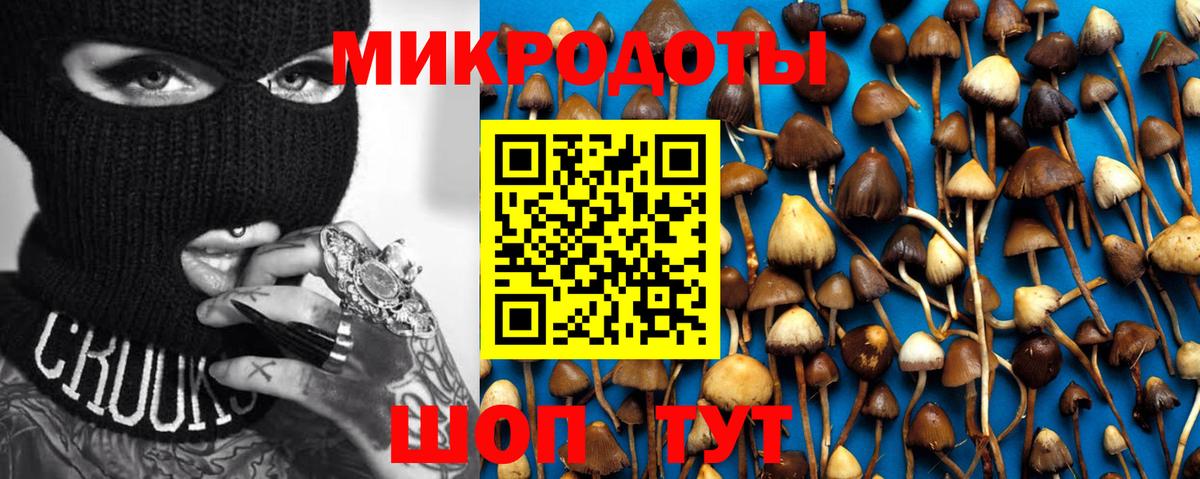 Галлюциногенные грибы Cubensis Майский